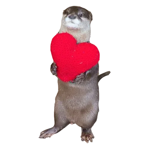 Random stickers - Sticker 20
