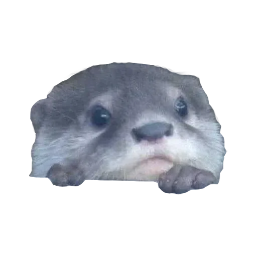 Random stickers - Sticker 16