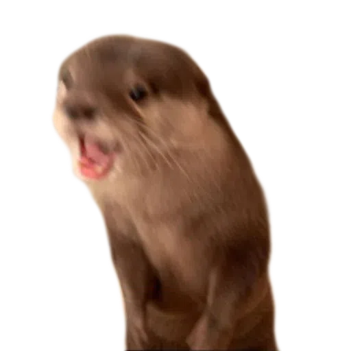 Random stickers - Sticker 23