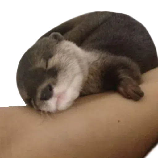 Random stickers - Sticker 24