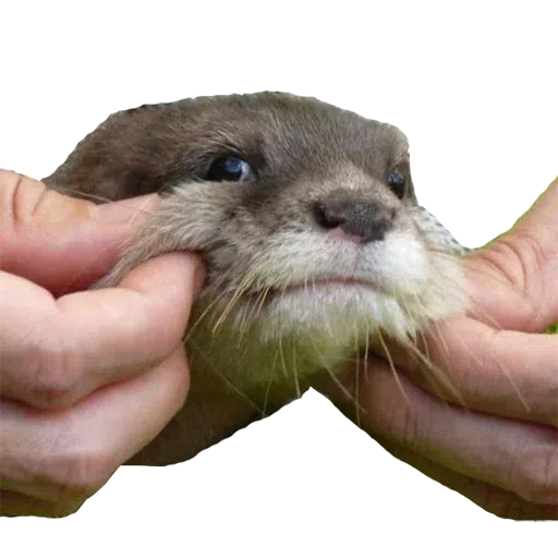Random stickers - Sticker 11