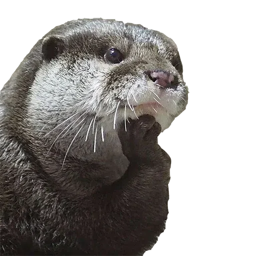 Random stickers - Sticker 12