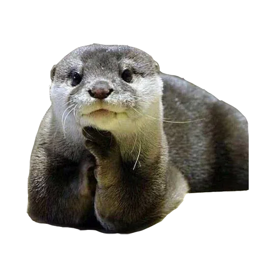Random stickers - Sticker 13