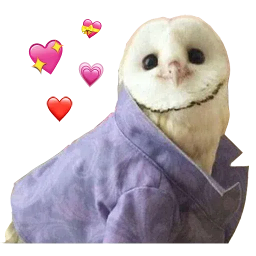 Random stickers - Sticker 26