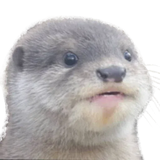 Random stickers - Sticker 21