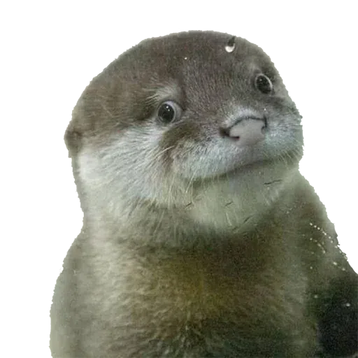 Random stickers - Sticker 14