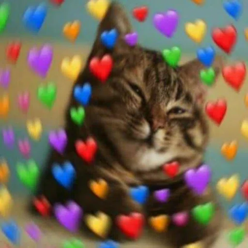 cattos - Sticker 12