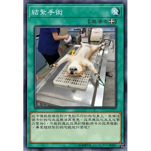 色色 - Sticker 11