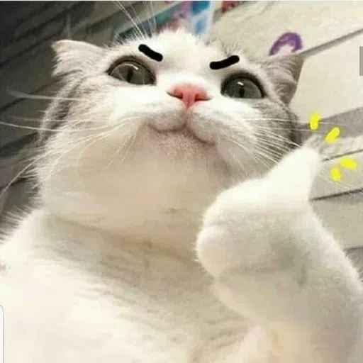 cat - Sticker 9