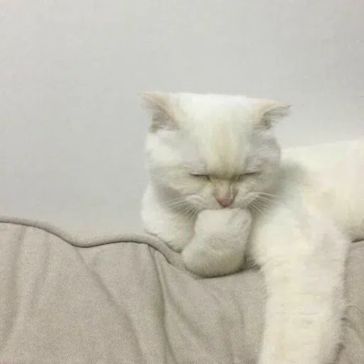 cat - Sticker 11
