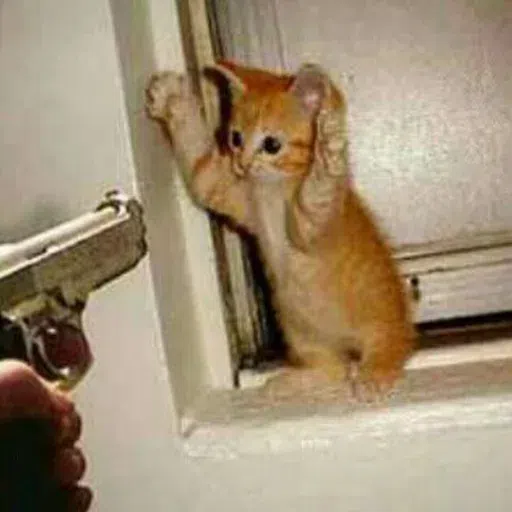 cat - Sticker 14