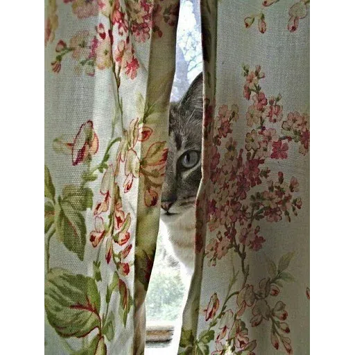 cat - Sticker 20