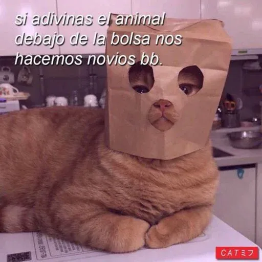 Enana 6 - Sticker 14