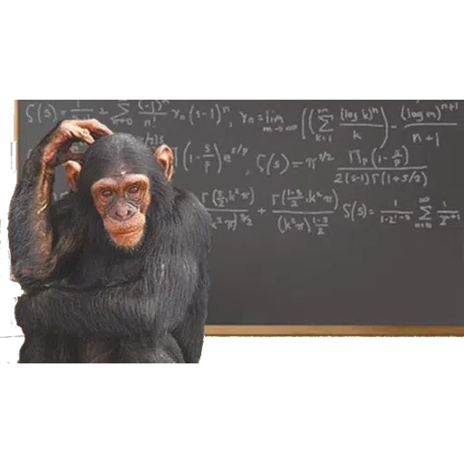 Monkey - Sticker 12
