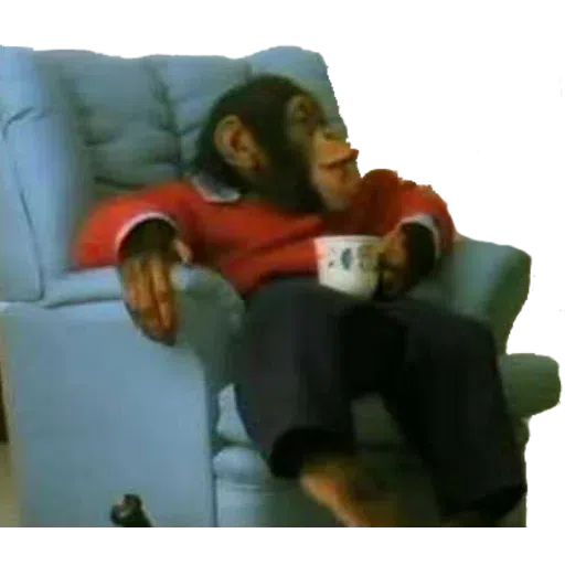 Monkey - Sticker 27