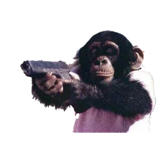 Monkey - Sticker 16