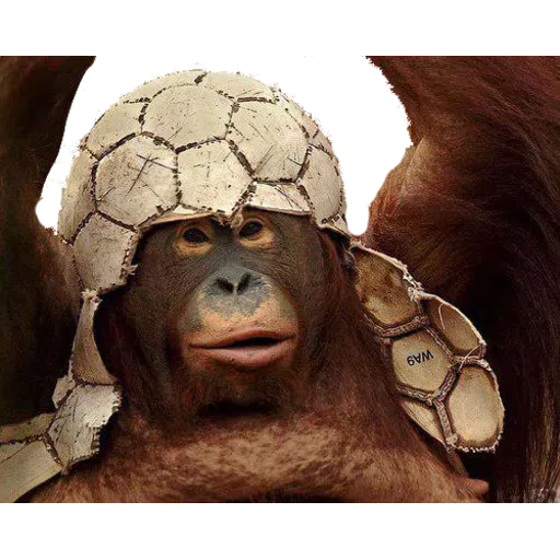 Monkey - Sticker 21