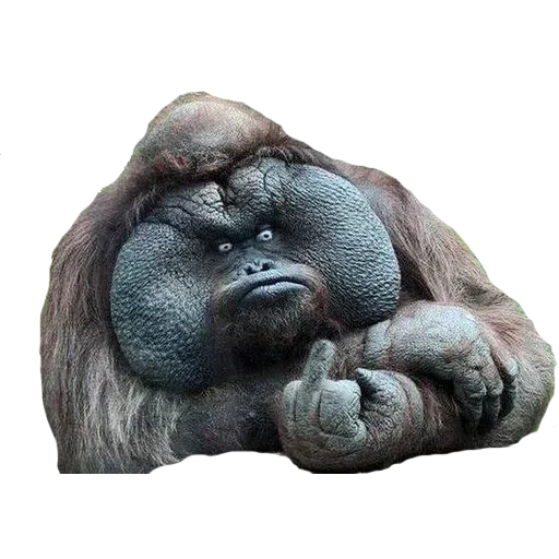 Monkey - Sticker 26