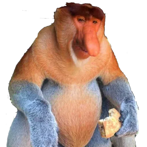 Monkey - Sticker 20