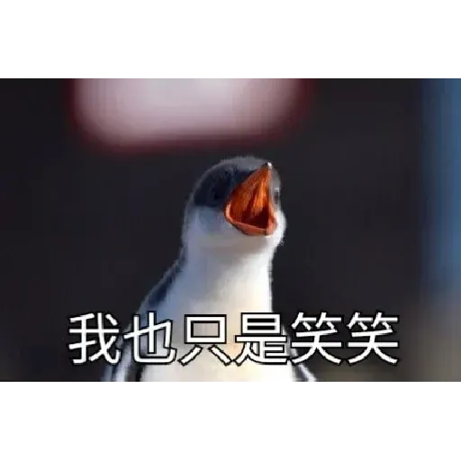 煞氣a企鵝 - Sticker 10