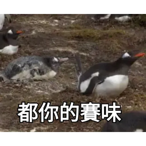 煞氣a企鵝 - Sticker 20