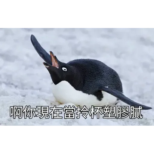 煞氣a企鵝 - Sticker 17