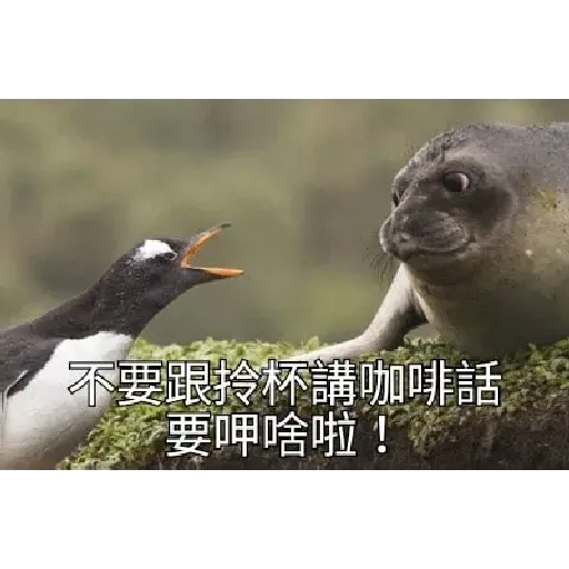 煞氣a企鵝 - Sticker 15