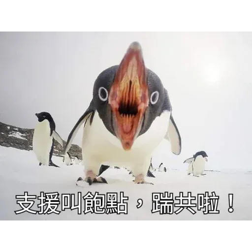 煞氣a企鵝 - Sticker 13