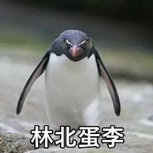 煞氣a企鵝 - Sticker 26