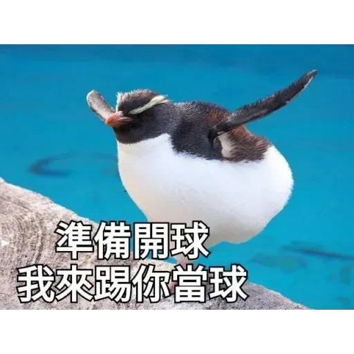 煞氣a企鵝 - Sticker 25