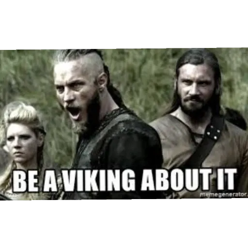 viking - Sticker