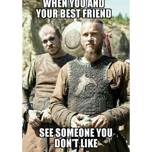 viking - Sticker 13
