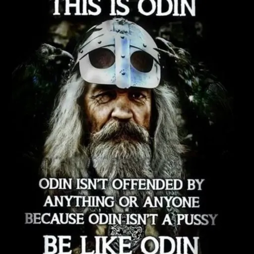 viking - Sticker 12