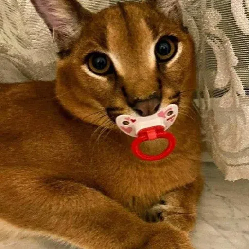 шлёпанцы - Sticker 18