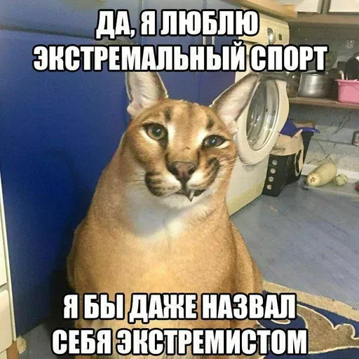 шлёпанцы - Sticker 28