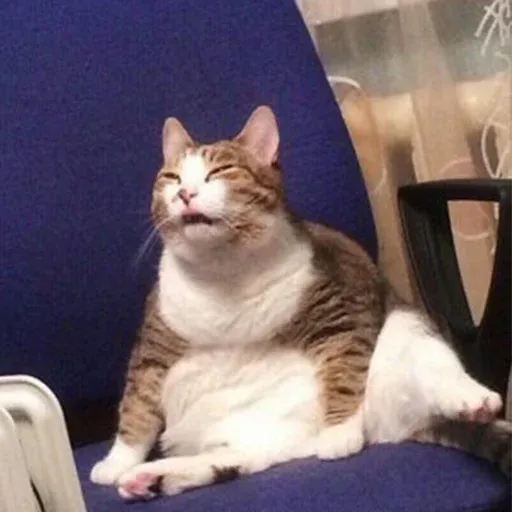 Polite Cats 2 - Sticker 29