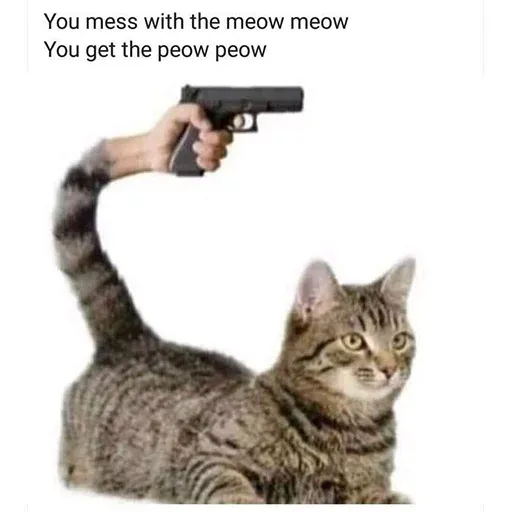 Polite Cats 2 - Sticker 18