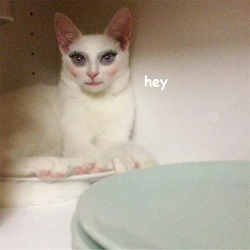 Polite Cats 2 - Sticker 30
