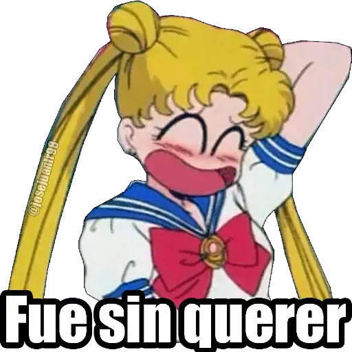 Sailor Moon Memes - Sticker 20