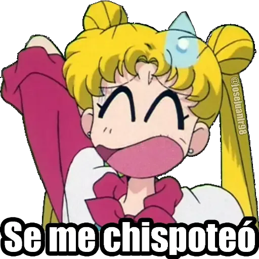 Sailor Moon Memes - Sticker 26