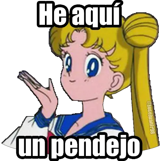 Sailor Moon Memes - Sticker 11