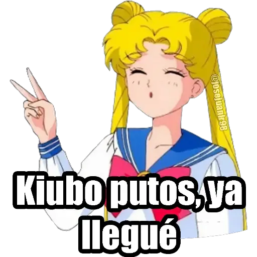 Sailor Moon Memes - Sticker 23