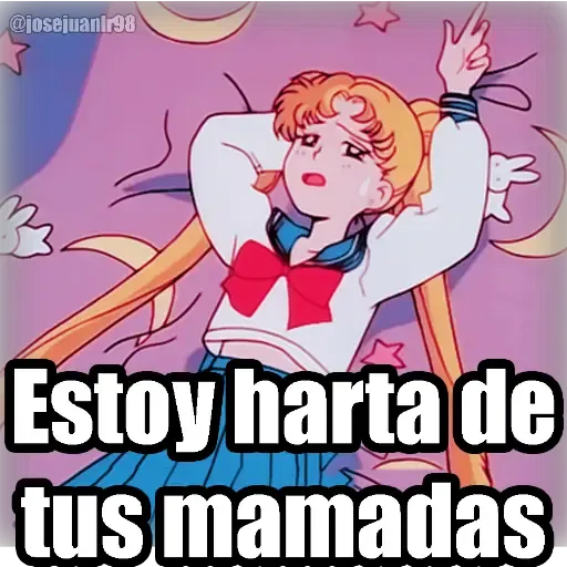 Sailor Moon Memes - Sticker 25
