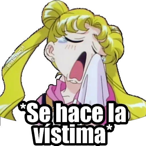 Sailor Moon Memes - Sticker 27
