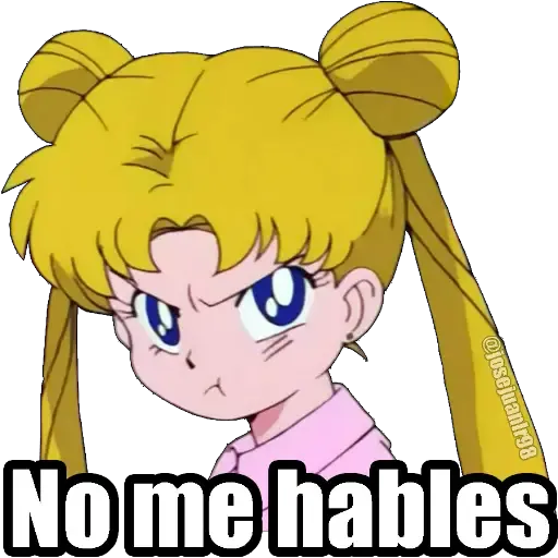 Sailor Moon Memes - Sticker 19