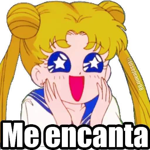 Sailor Moon Memes - Sticker 24
