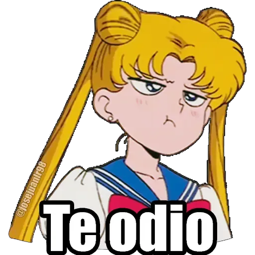 Sailor Moon Memes - Sticker 18