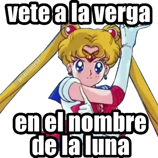 Sailor Moon Memes - Sticker 12
