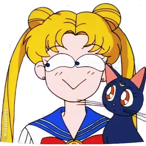 Sailor Moon Memes - Sticker 9