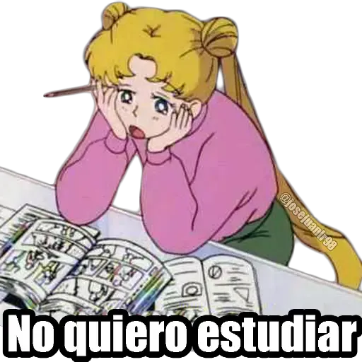 Sailor Moon Memes - Sticker 16
